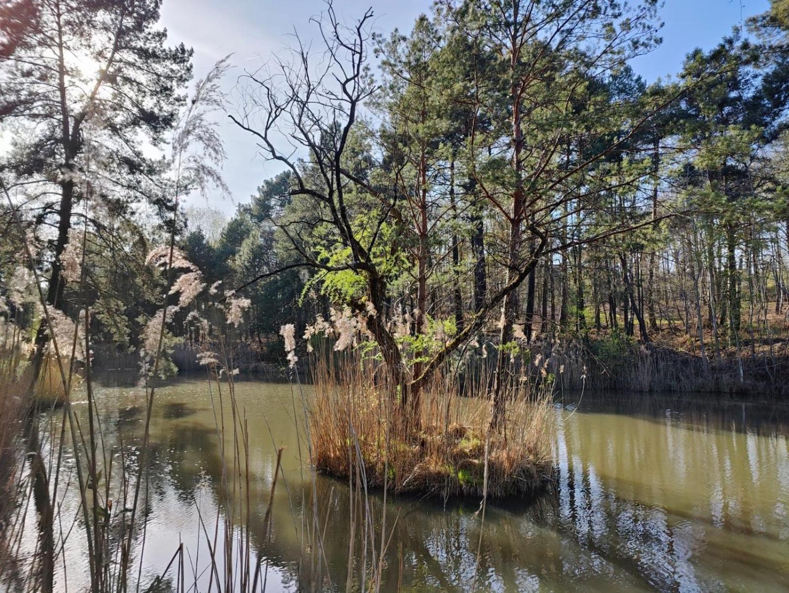 فييرزو Domaine De Charnay - Charme Et Confort Dans Un Environnement D'Exception المظهر الخارجي الصورة