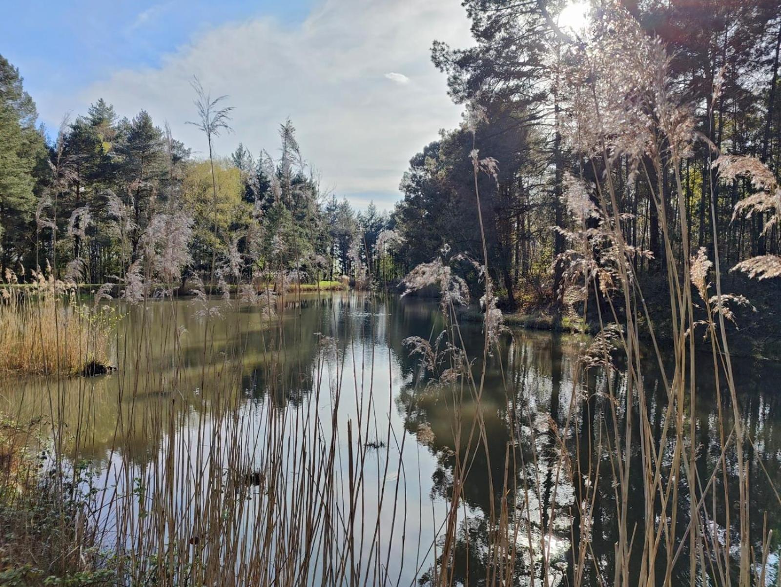 فييرزو Domaine De Charnay - Charme Et Confort Dans Un Environnement D'Exception المظهر الخارجي الصورة
